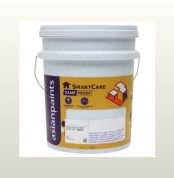 Asian Paints SmartCare Damp Proof