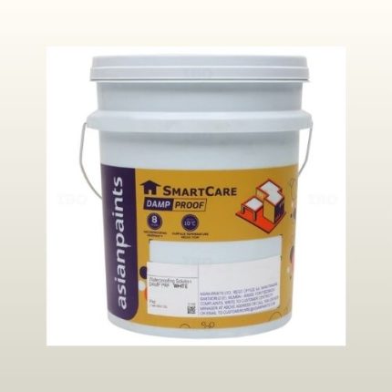 Asian Paints SmartCare Damp Proof