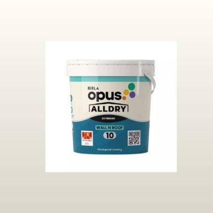 Buy Online Birla Opus Alldry Wall n Roof 10